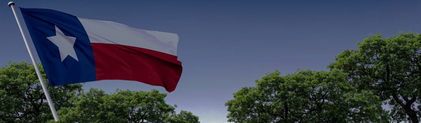 Texas Immigration Law